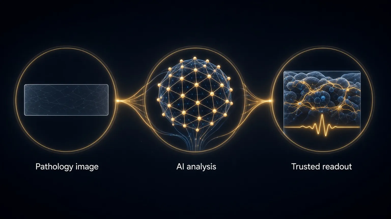 Illustration: a pathology image, an AI analysis lattice, and a trusted readout.