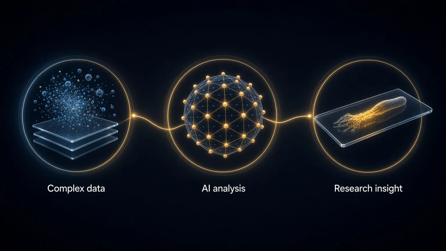 Illustration: three circles on a gold thread. Complex data above glass slides, an AI network sphere, and a glowing tissue sample on a slide, labelled complex data, AI analysis, research insight.
