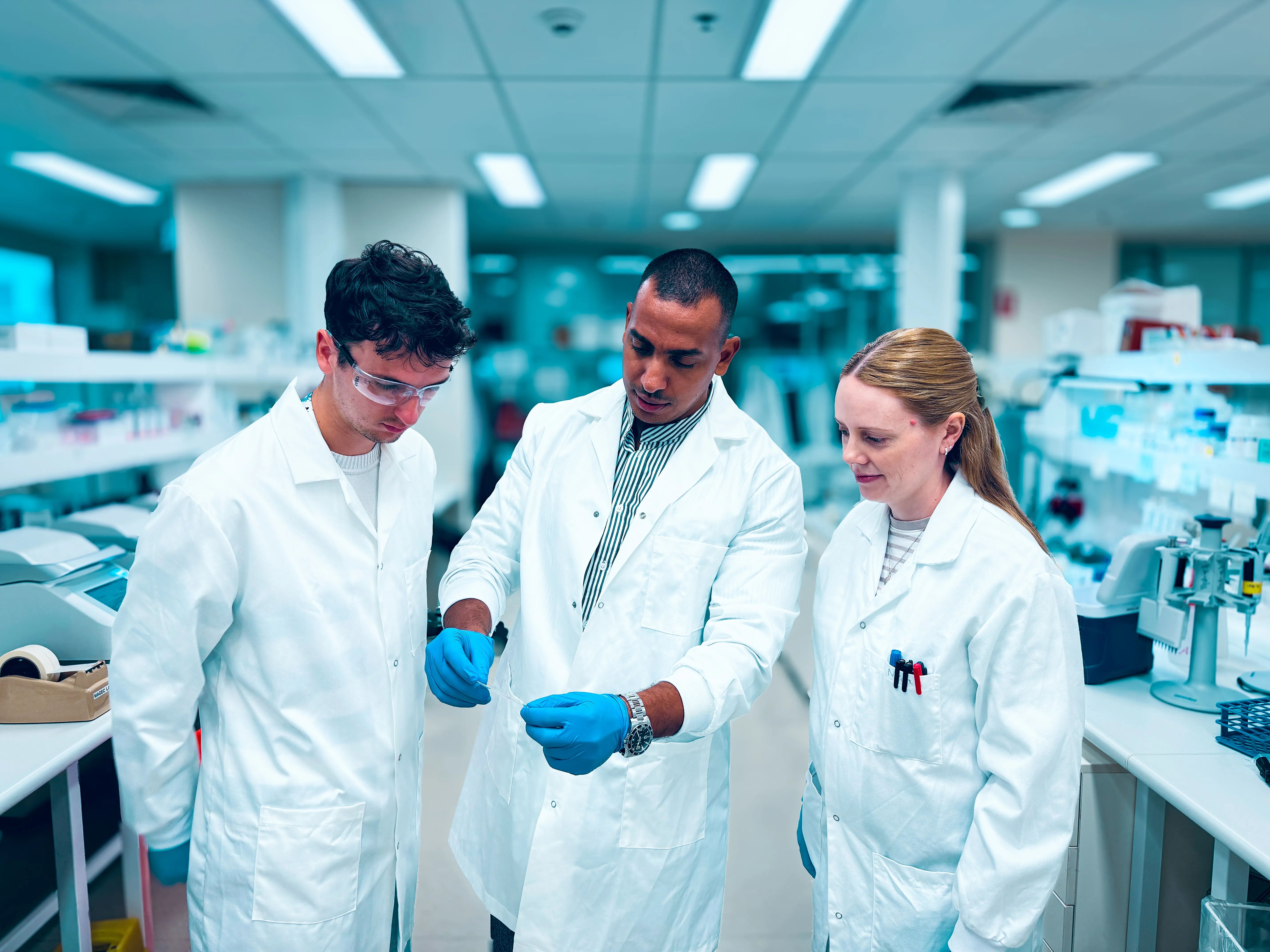 Dr. Amr H. Allam in the laboratory.